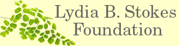 Lydia B Stokes Foundation